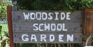 school garden